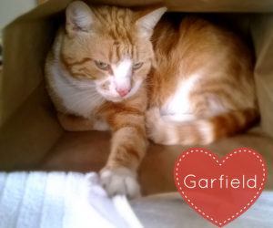 Garfield