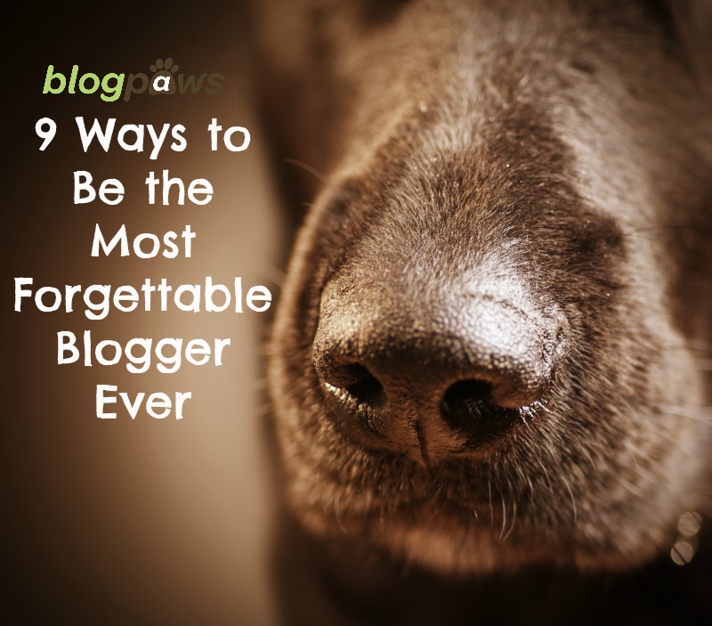 9 Ways to Be the Most Forgettable Blogger Ever