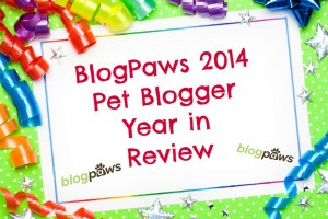 blogger year