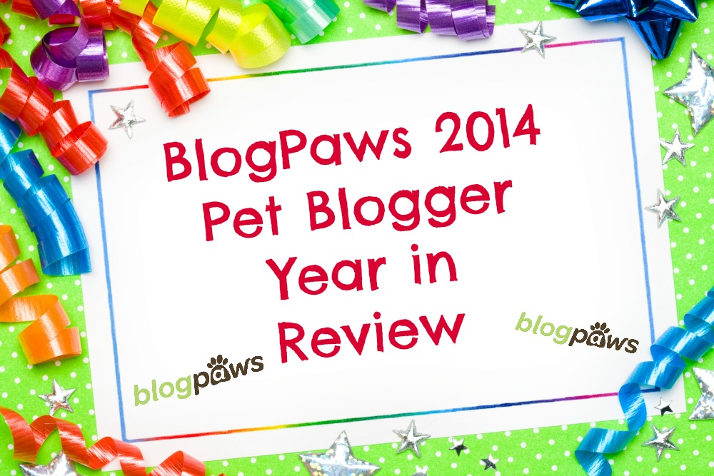 BlogPaws 2014 Pet Blogger Year in Review