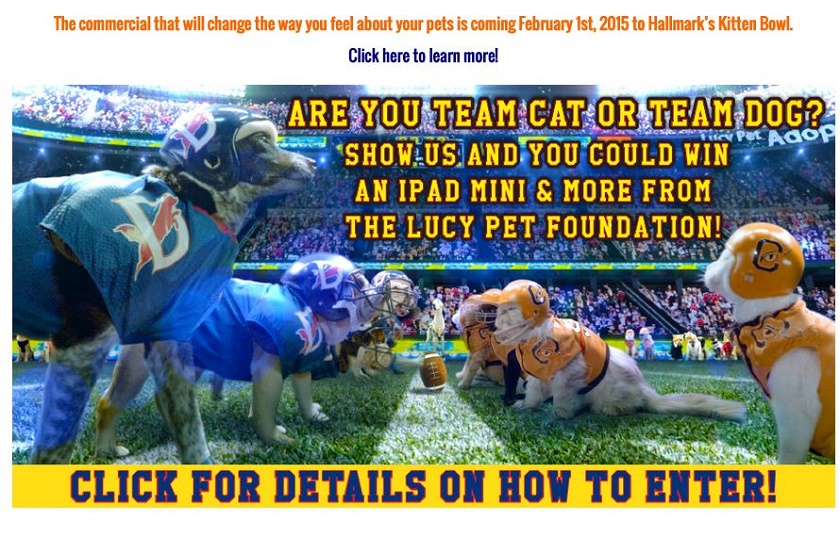PSA for Lucy Pet Foundation Super Bowl commercial