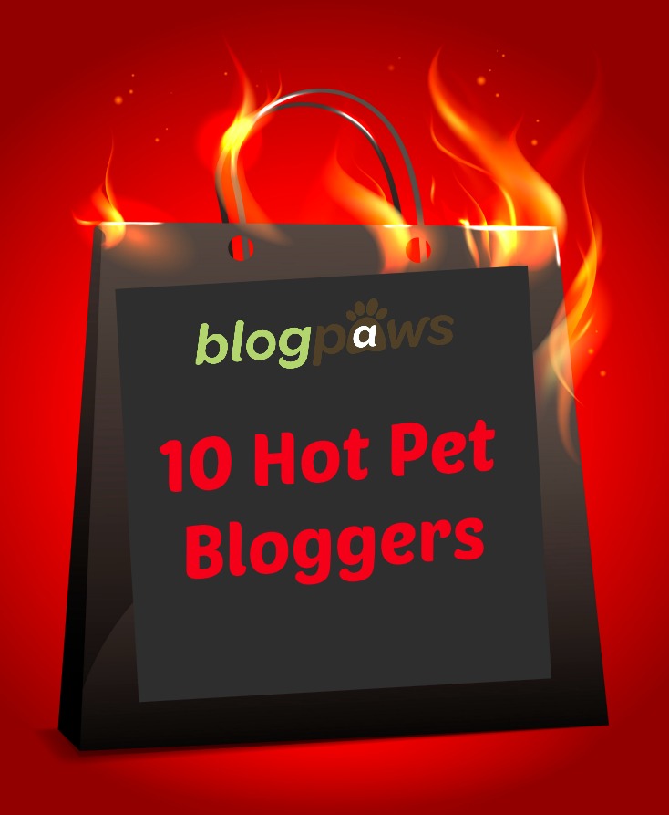 10 Hot Pet Bloggers Worth Reading