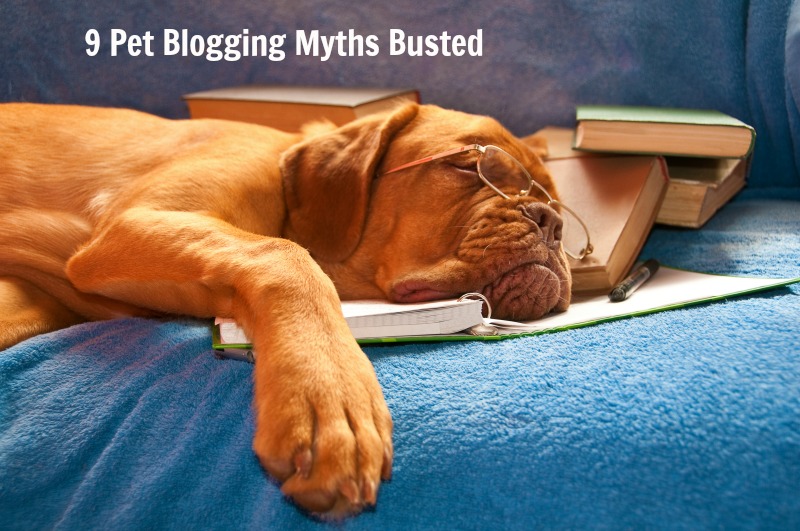 9 Pet Blogging Myths Busted