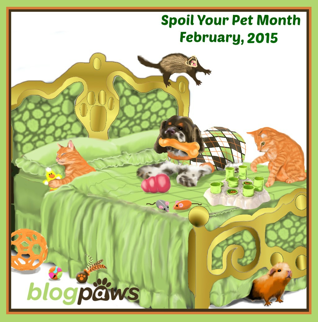 Your Pet’s Favorite Indoor Activity #BlogPawsChat