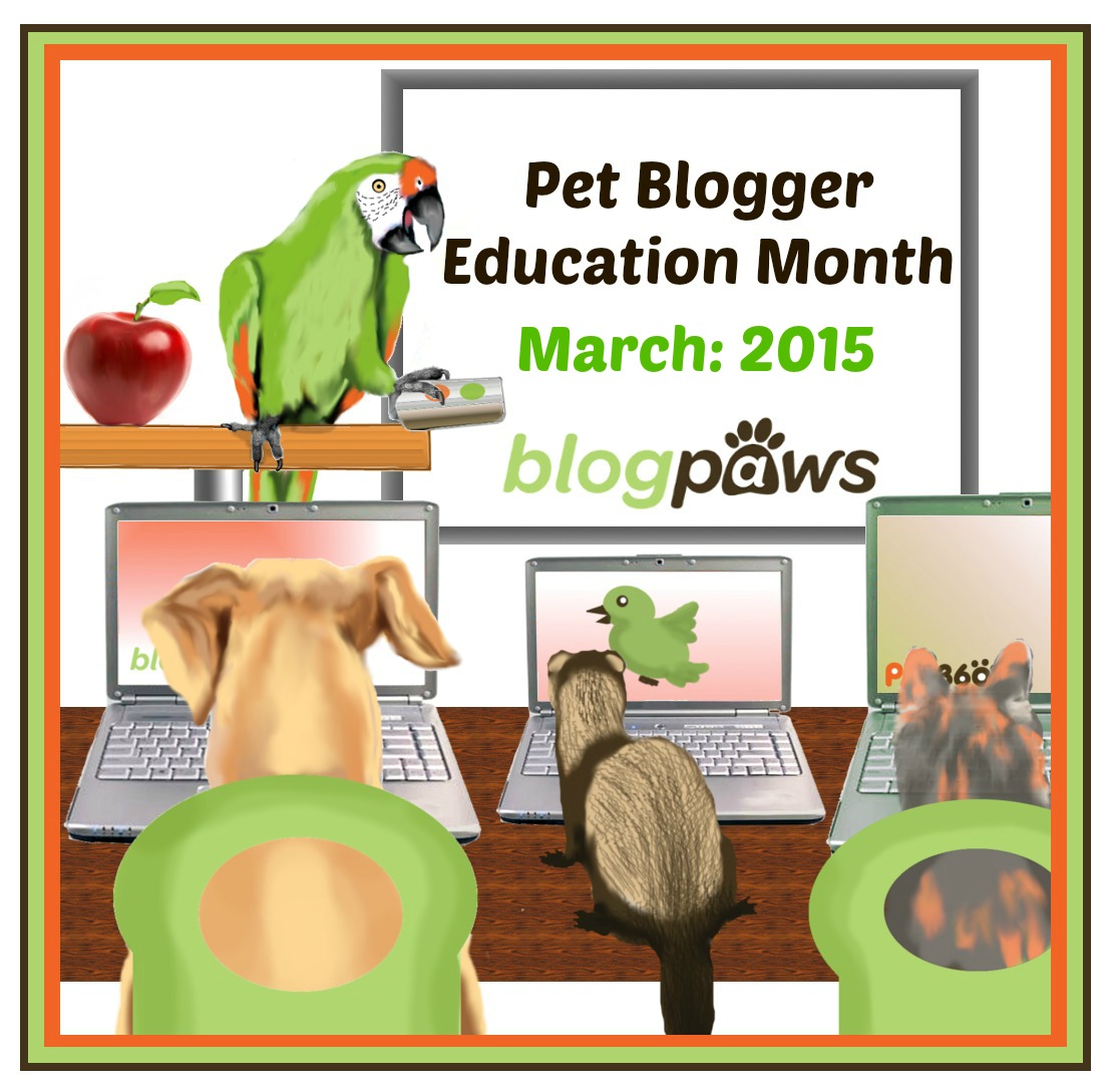#BlogPawsChat Blogger Education Month