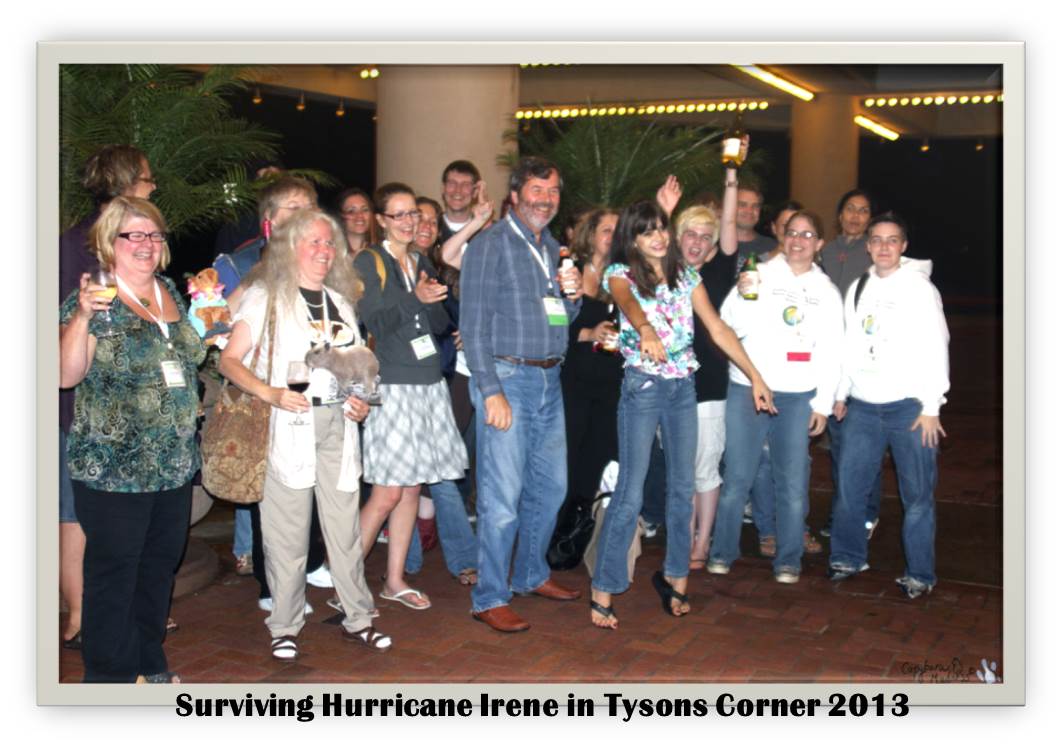Surviving Hurricane Irene Tysons Corner