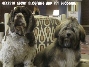 blogpaws dogs