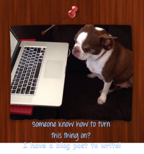 Olive wants to write a blog post