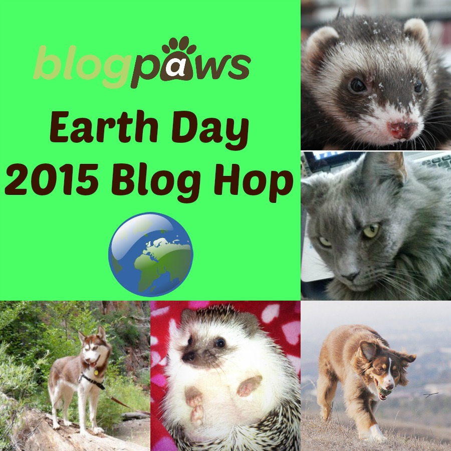 Wordless Wednesday Earth Day Blog Hop