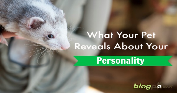 What Your Pet Reveals About Your Personality