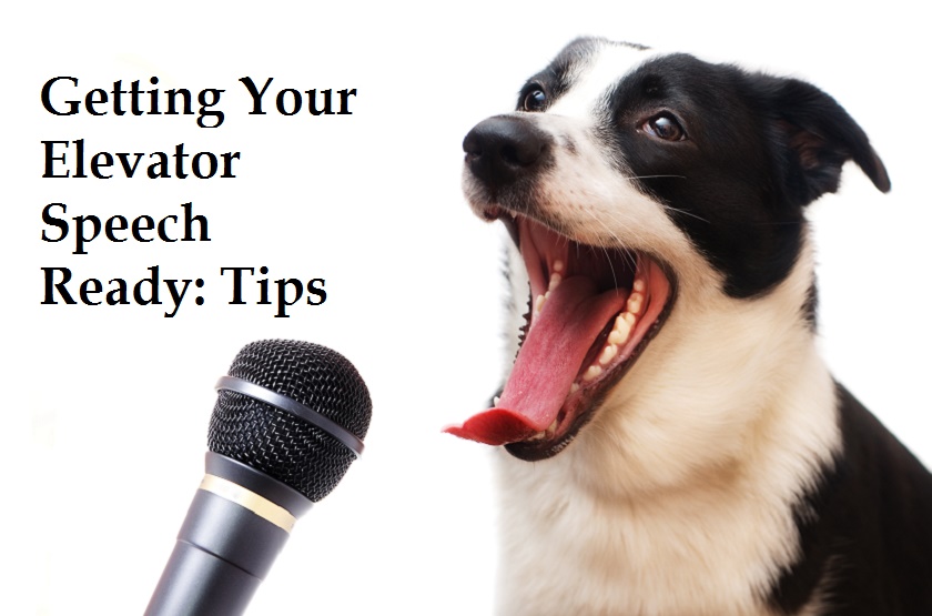 Perfecting Your Pitch: Introducing Yourself At BlogPaws 2015