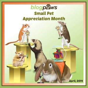#BlogPawsChat Small Pet Appreciation