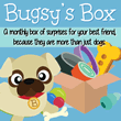 Bugsby's Box - A monthly box of surprises for your best friend