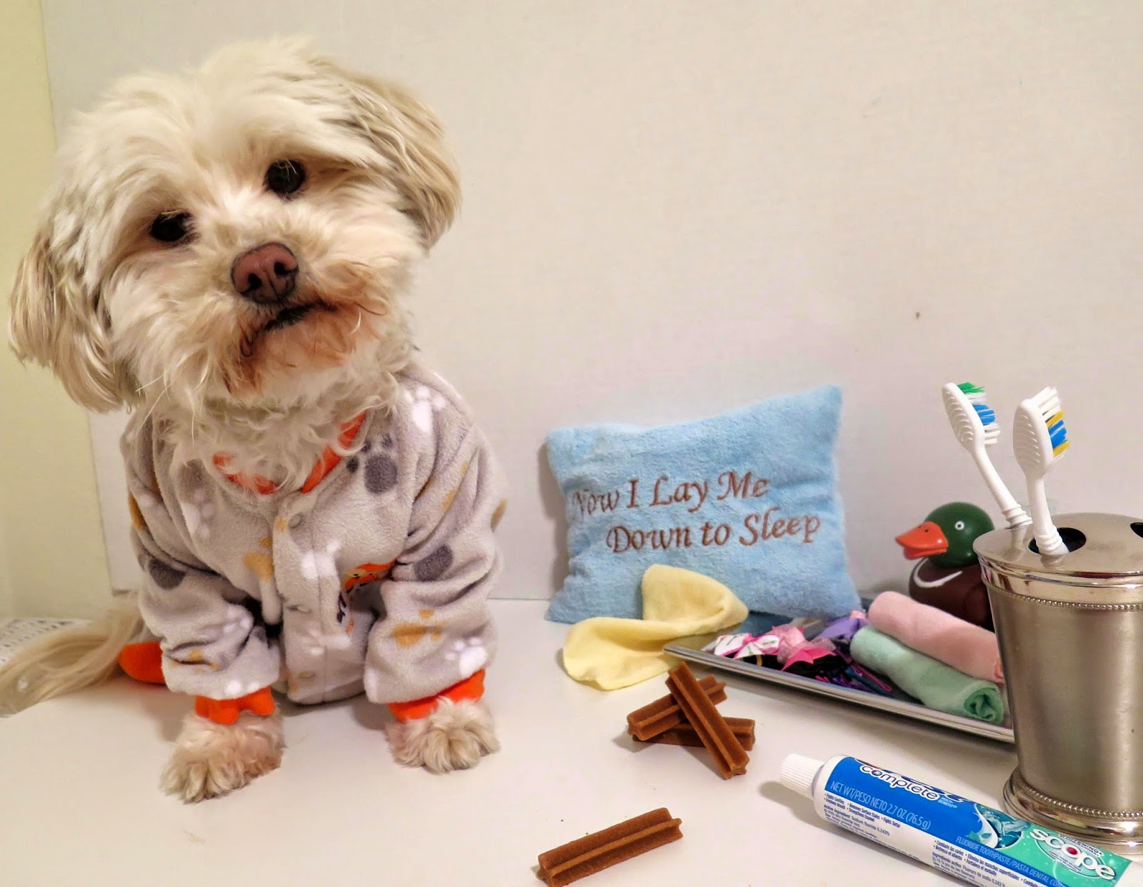 Join #BlogPawsChat For A Special Weekday Edition with Mars Petcare