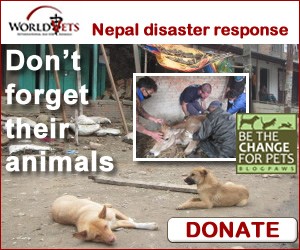 NepalEarthquake-Donate-Ad-300x250