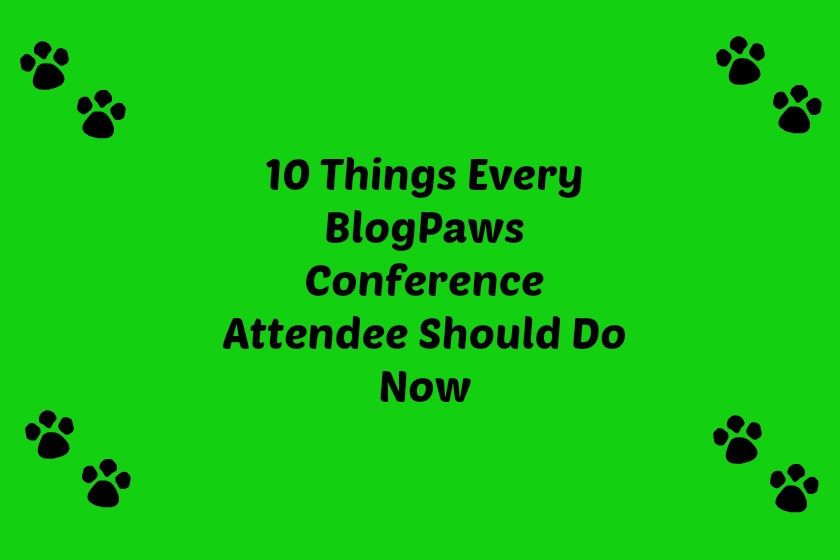10 Things Every BlogPaws Conference Attendee Should Do Now