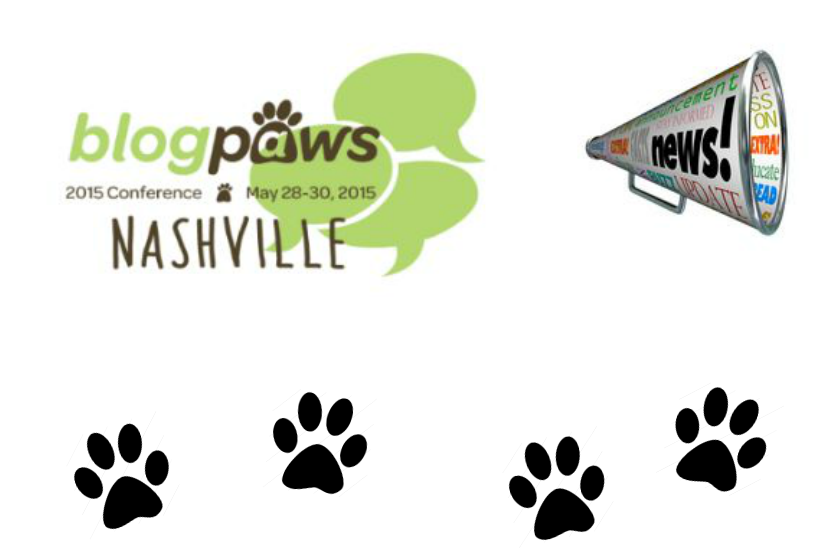 How to Get on the Radar of BlogPaws Brands