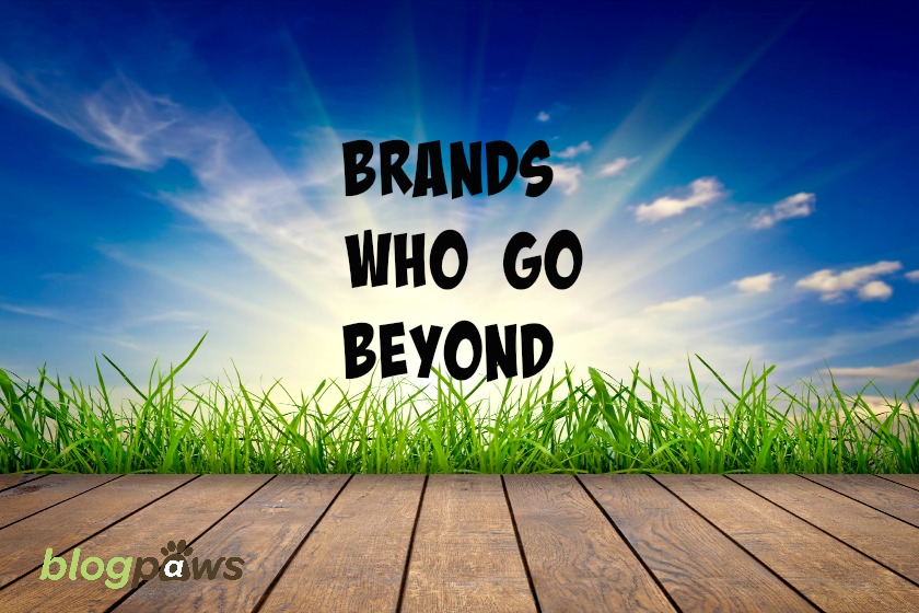 Brands Who Go Beyond