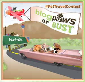 BlogPaws pet travel contest