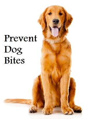 prevent dog bites 