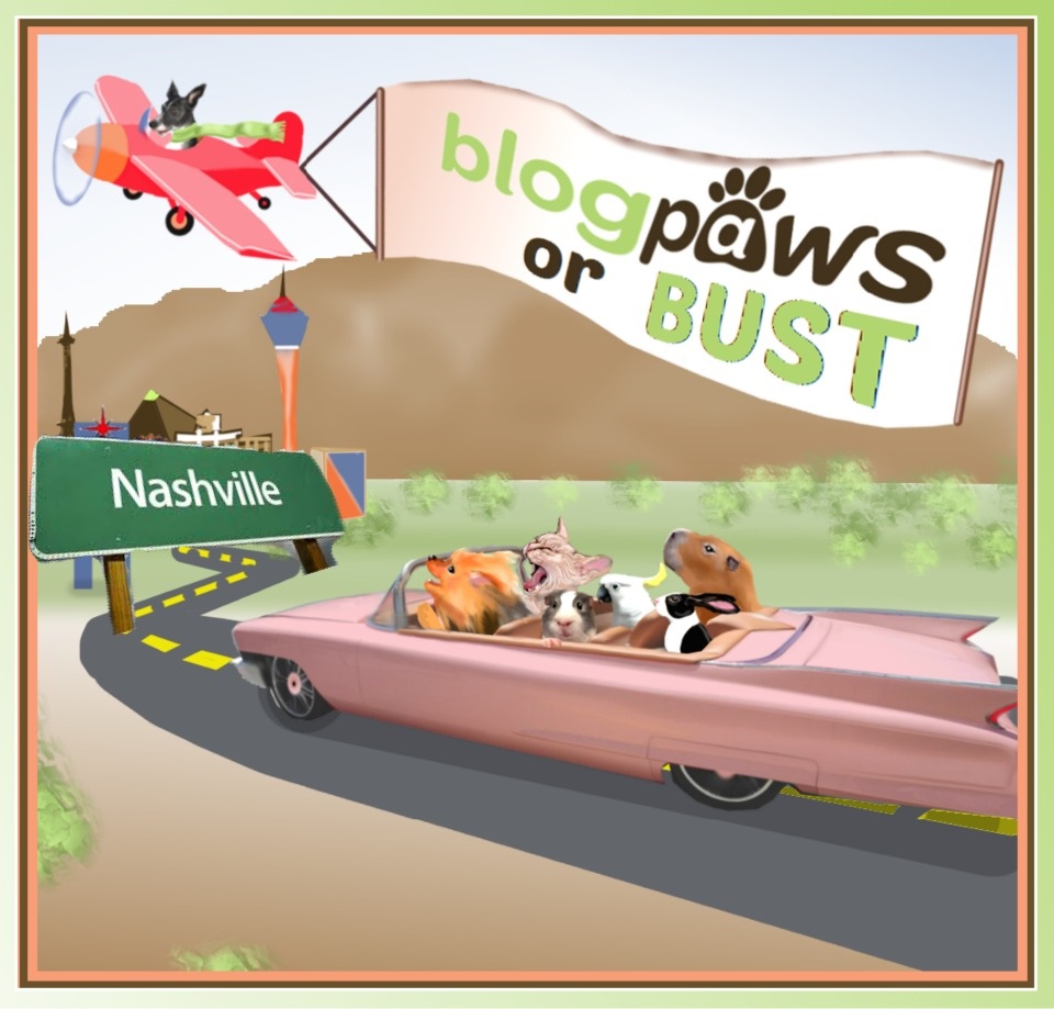 What We’re Reading: BlogPaws Team Round-Up