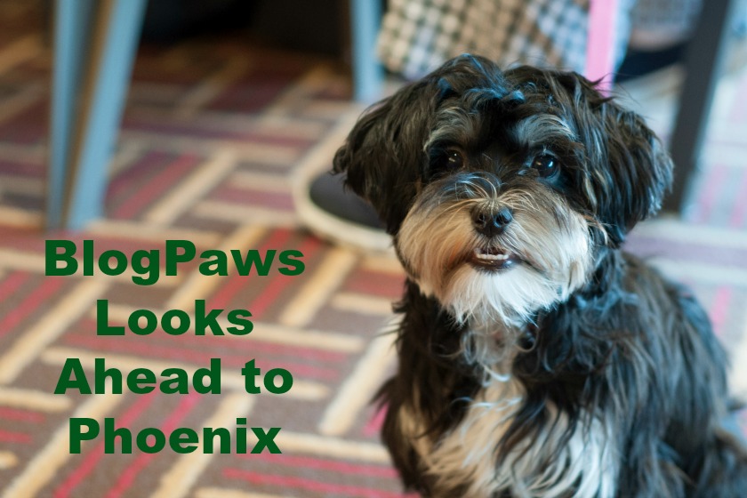 BlogPaws Looks Ahead to Phoenix