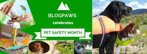pet safety month blogpaws