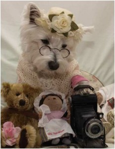 dog with a camera