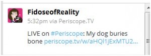 tweet on periscope