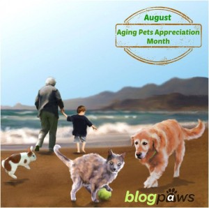Aging Pets