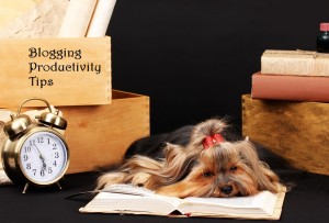 blogging productivity tips