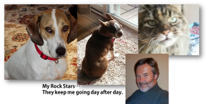 Tom Collins Molly the cat Emily the hound Olive the Boston