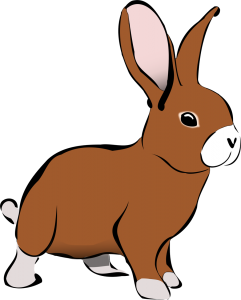 International Rabbit Day