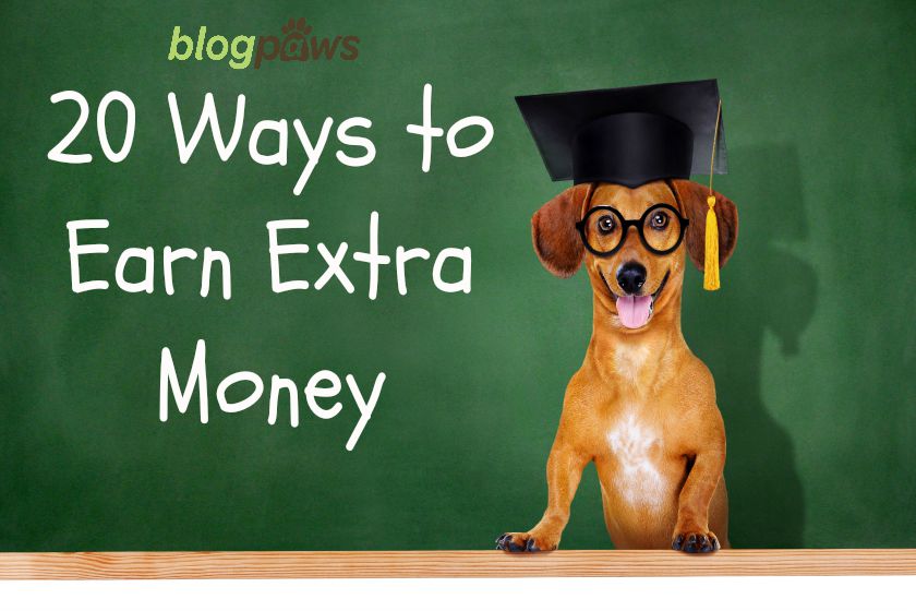 20 Ways to Earn Extra Money