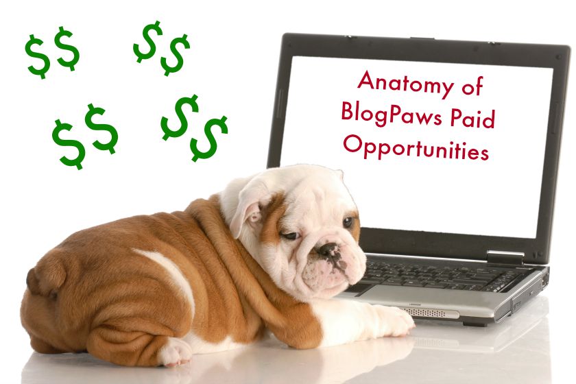 Anatomy of BlogPaws Paid Opportunities