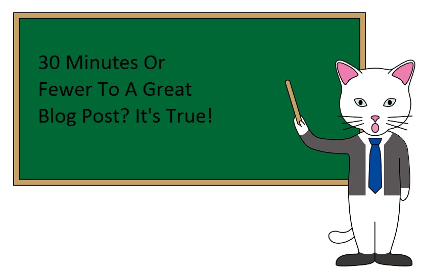 Blogging Success In 30 Minutes (or fewer) A Day