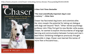 Intelligence in Dogs. Chaser the border collie.
