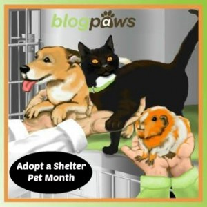 Adopt a Shelter Pet October Blog Hop