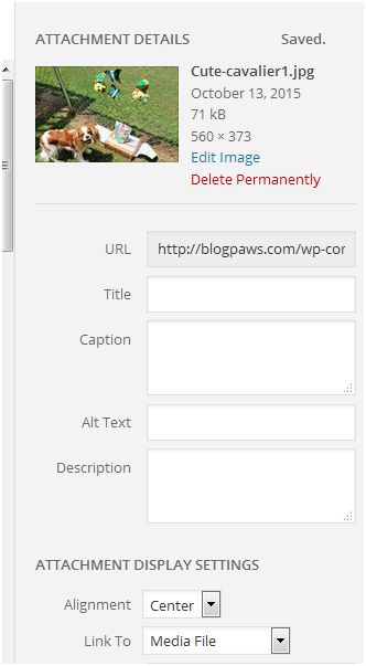 image titles | How to Tag Photos in WordPress