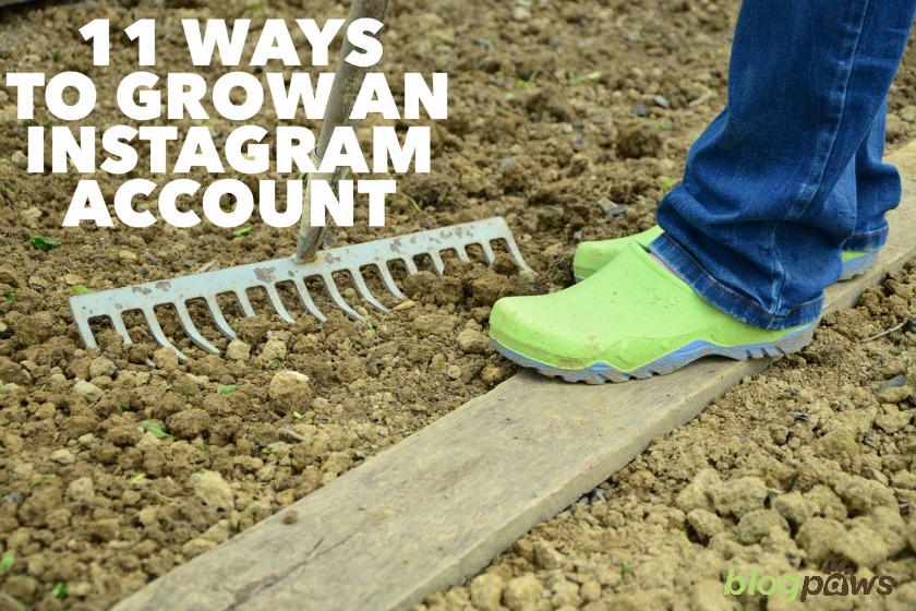 How to grow an Instagram account