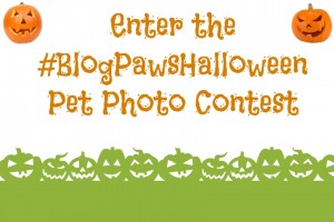 Pet Halloween Photo Contest