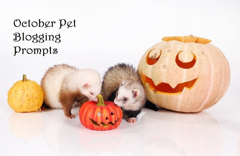 October Pet Blogging Prompts