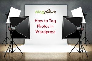 proper tagging in WordPress