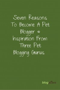 7 reasons to be a pet blogger