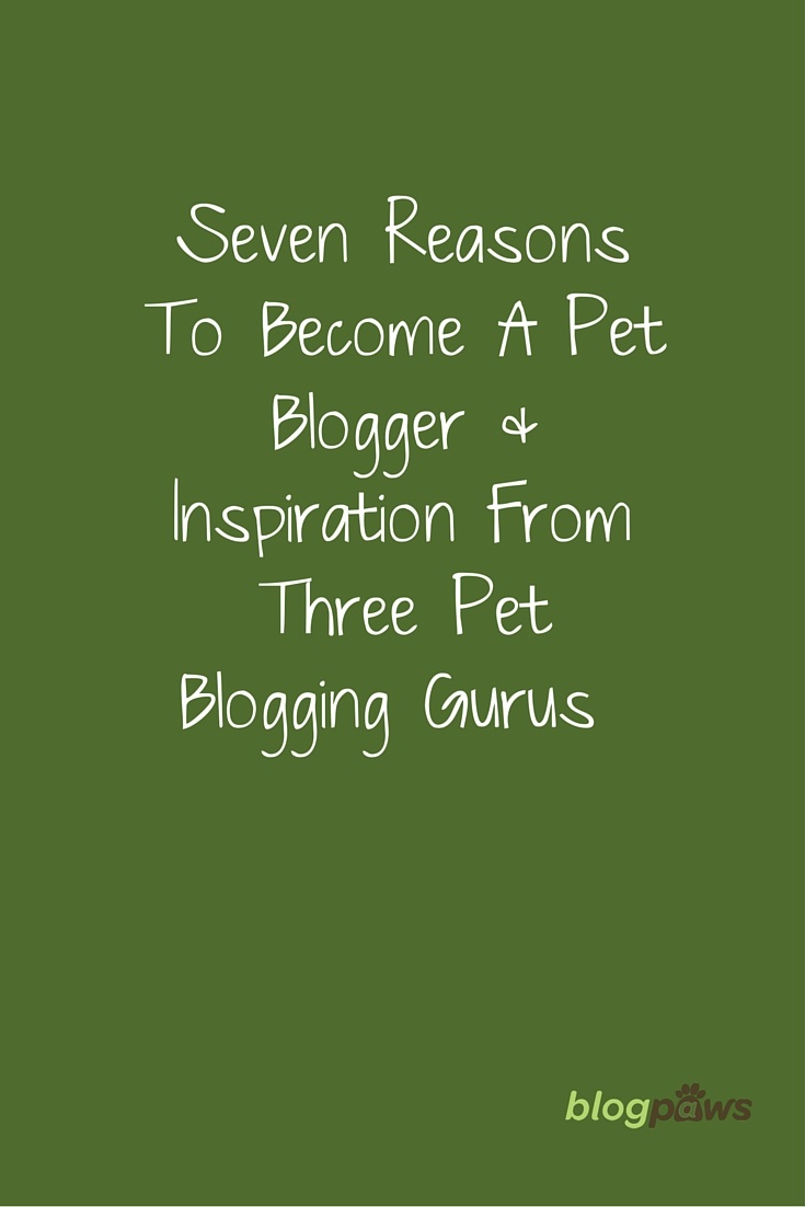 Reasons To Become A Pet Blogger