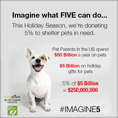 Pet Industry Pros Team Up for Homeless Pets #IMAGINE5