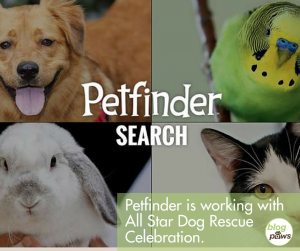 Petfinder and All Star Dog Rescue Celebration