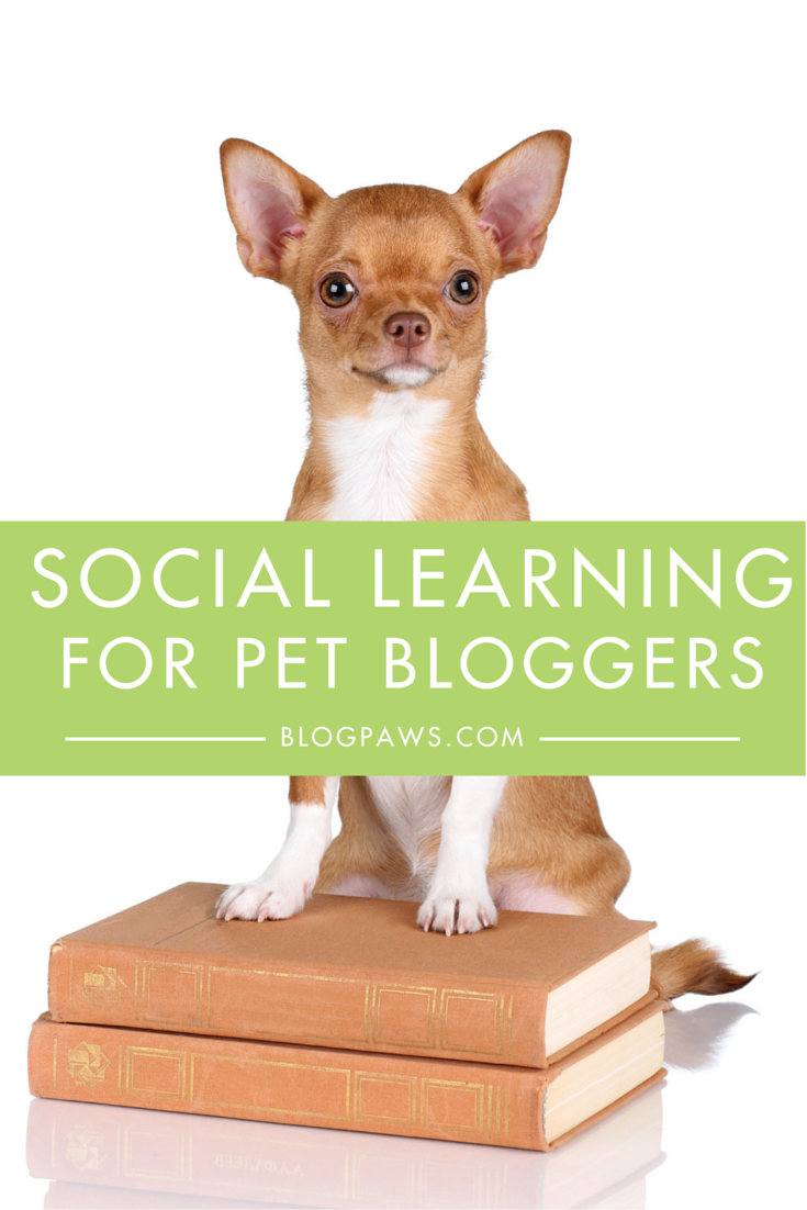 Pinterest - Social Learning for Pet Bloggers