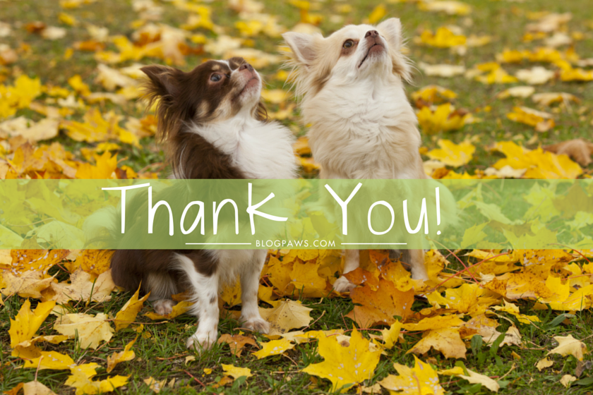 Five Ways Learning Gratitude Can Grow Your Blog