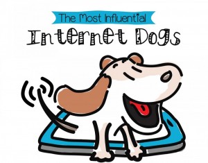 Most influential dogs on the internet